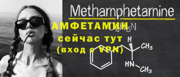 индика Карпинск