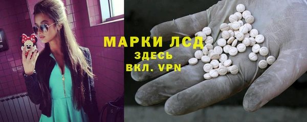 индика Карпинск