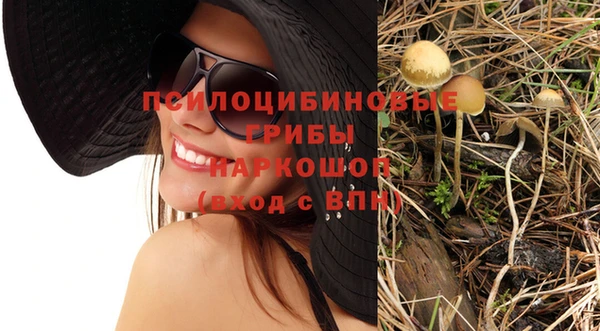 скорость Карталы