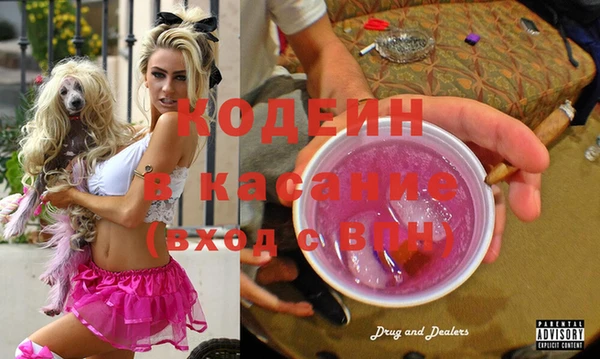 индика Карпинск
