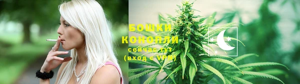 индика Карпинск