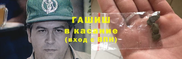 индика Карпинск