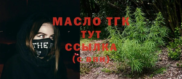 индика Карпинск