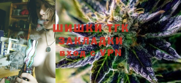 индика Карпинск