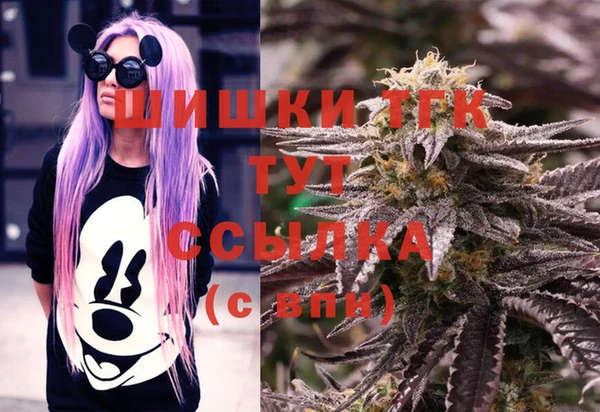 индика Карпинск