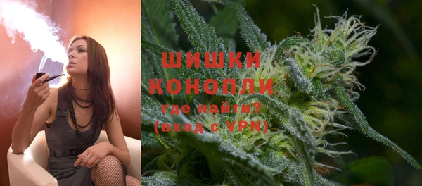 индика Карпинск