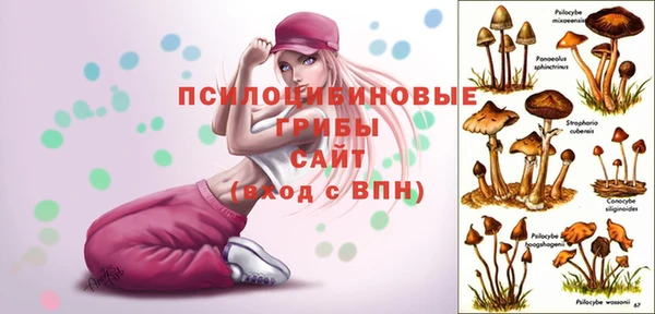 индика Карпинск